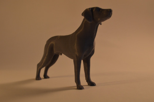 Pets Em 3d: Dê Vida Aos Seus Projetos