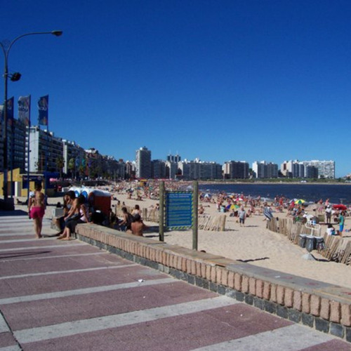 Venta Local Comercial Sobre Calle Berro