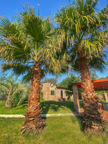 Casa Quinta En Venta - 2 Dormitorios 2 Baños - 900mts2 - San Vicente