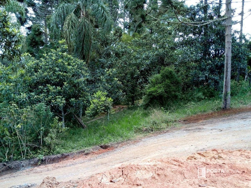 Terreno À Venda, 10000 M² Por R$ 1.000.000,00 - Jardim Dos Ipês - Embu Das Artes/sp - Te0179