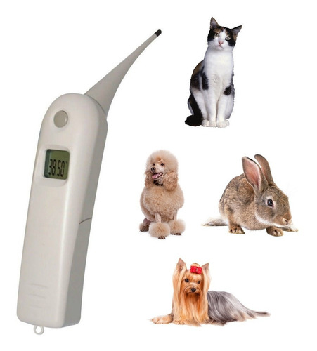 Imagen 1 de 3 de Termometro Digital Veterinario Tdv01 Pantalla Lcd Checkatek