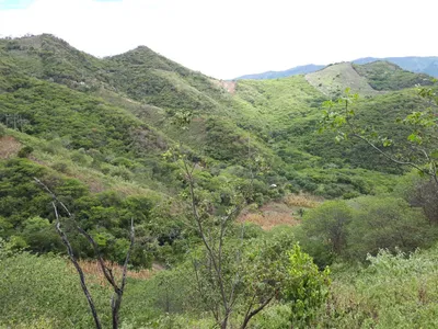 Finca en venta