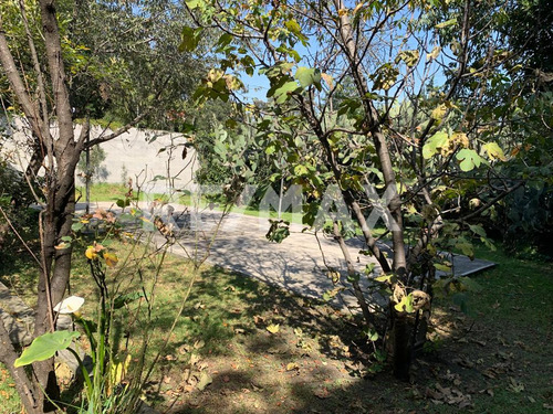 Terreno , En Cerrada, Lomas De Chapultepec