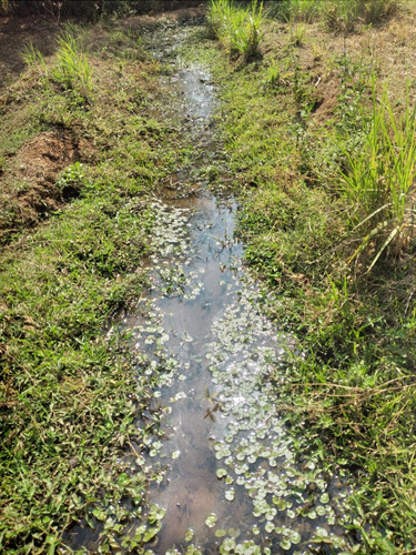 Sitio A Venda Em Monte Santo De Minas