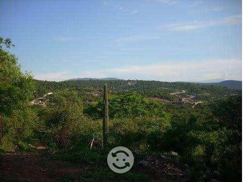 Terreno En Ticuman, Campo Los Sauces