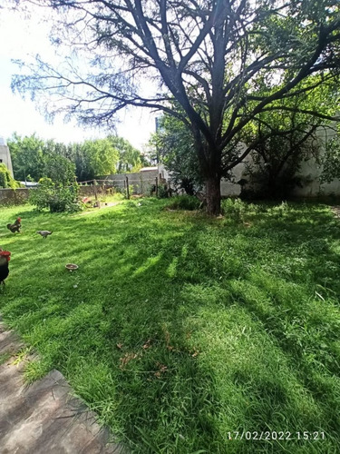 Imagen 4 de 7 de Lotes A La Venta En Moreno. 1960 M2
