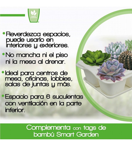 Charola Moderna Rectangular Para Suculentas - Smart Garden Color Blanco
