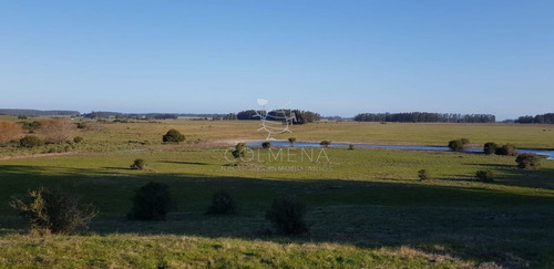 Imagen 10 de 13 de Campo De 20 Has Muy Cerca Del Faro Jose Ignacio - Consulte !!!!!! - Jose Ignacio