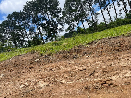Imagem 24 de 24 de M01- Oportunidade De Ter Sua Casa No Campo