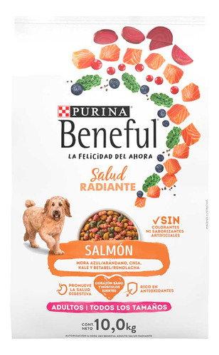 Alimento Seco Para Perros Beneful Sunrise Adulto Salud Radiante Salmon 10kg