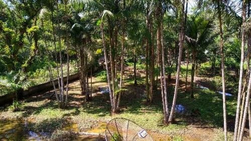 Chácara No Litoral Com 3 Quartos Em Itanhaém/sp 6455-pc