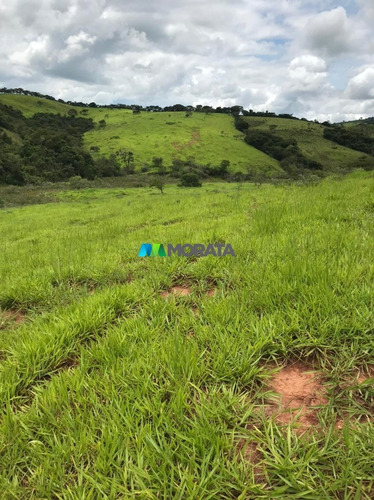 Imagem 14 de 15 de Fazenda - Zona Rural - Ref: 5020 - V-mta5020