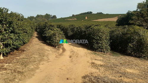 Imagem 6 de 12 de Fazenda - Zona Rural - Ref: 5175 - V-mta5175