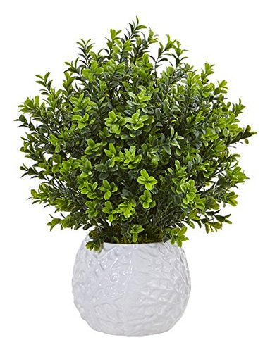 Planta Artificial De Boj Casi Natural En Florero, Verde