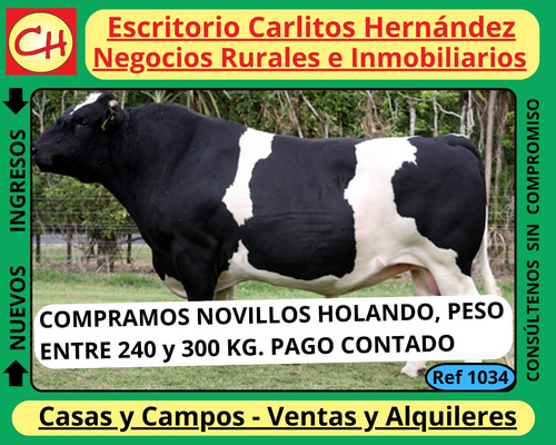 5) Casas, Locales Comerciales, Terrenos, Apartamentos, Chacras, Campos, Galpones, Estancias, P.h. , Para La Venta Y Para Alquilar, Arrendar, En San José