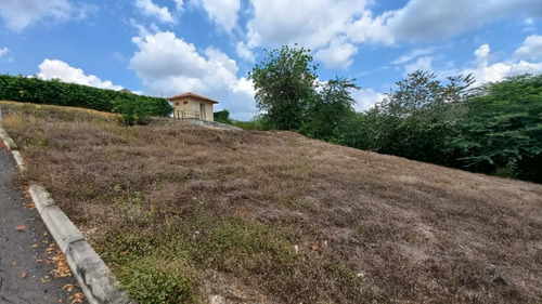 Imagen 11 de 11 de Lote En Venta En Nariño Nariño Cundi. Cod 12114782