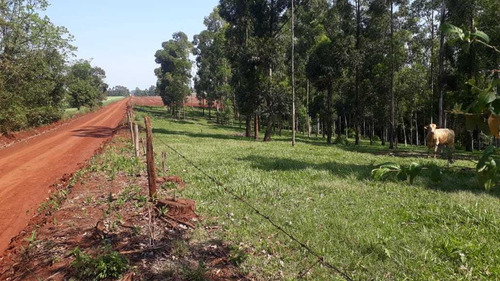 Imagen 5 de 6 de En Venta 3 Hectáreas Zona Capitán Miranda Con Arroyo