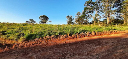 Imagem 4 de 9 de Lotes De 1000 M Quadrados