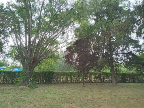 Casa Quinta C/pileta, Lote 41mts X 41mts En Laguna De Lobos