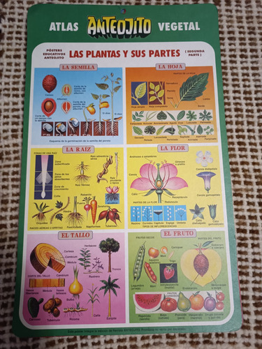 Laminas Educativas Revista Anteojito - Usadas (Usado)