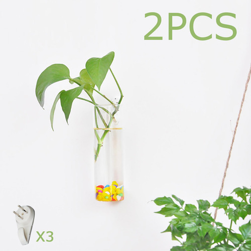 2x Maceta Colgante De Pared De Vidrio Terrarios Maceta De