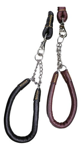 Pieza De Collar Y Correa Para Perro Grande