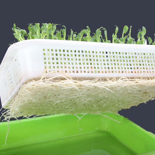 Bandeja Germinadora De Semillas, Bandeja Reutilizable Para