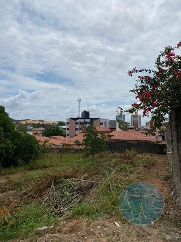 Imagem 3 de 9 de Terreno Na Jaguarari - V-11789