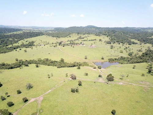 Imagem 14 de 16 de Rural, Zona Rural, Nova Crixás - Go | 858905 - Go - Ch0116_abi