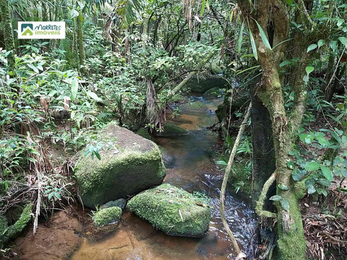 Imagem 4 de 24 de Chácara À Venda No Bairro América De Cima - Morretes/pr - 269