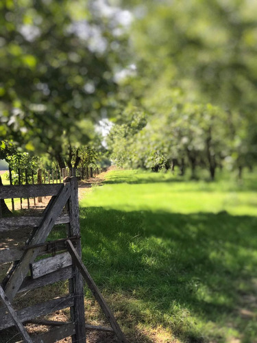 Campo A La Venta En Santa Rosa De Calchines