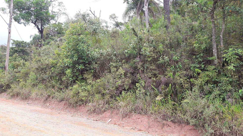 Imagem 3 de 8 de Terreno, Chácara Jaguari (fazendinha), Santana De Parnaíba - R$ 2 Mi, Cod: 235246 - V235246