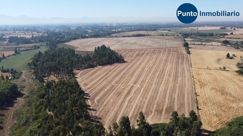 Imagen 6 de 13 de Abundante Agua. Uso Agrícola Y Frutícola