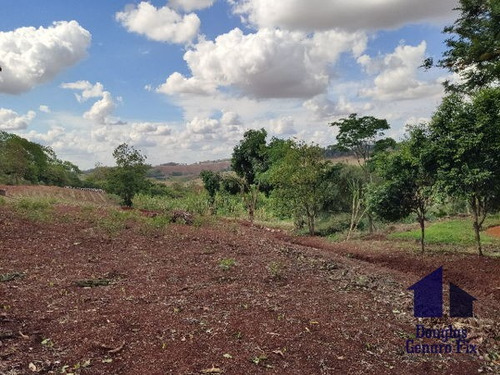 Imagem 12 de 16 de Rural Chacara - 775286-v