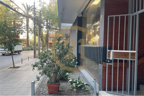 Penthouse Con Terraza Privada En Providencia
