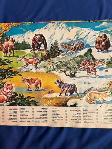 Álbum Figuritas Zoo En Casa (Usado)