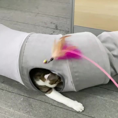Cómodo Juguete Interactivo De Tubo De Túnel Para Gatos