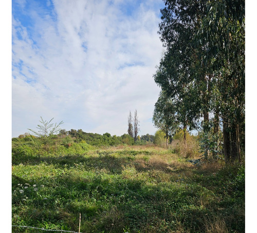Venta De Propiedad Con Gran Terreno Y Casa Espaciosa