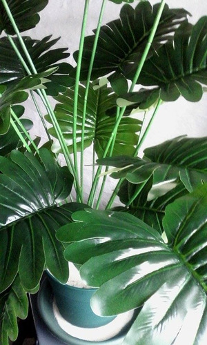 Imagen 6 de 10 de Aralia 18 Hojas 70 Cm - Plantas De Interior Artificiales