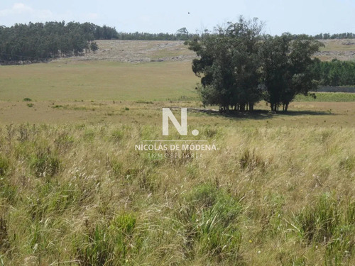 Lote En Venta En Cerro Eguzquiza, Ideal Para Barrio Privado E Inversionistas.