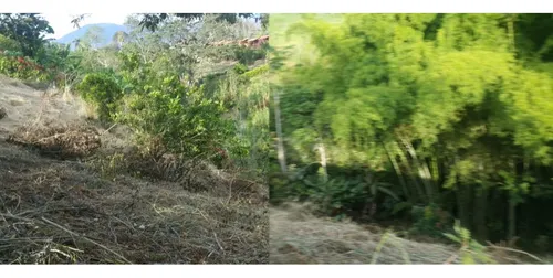 Venta De Lote Calarca