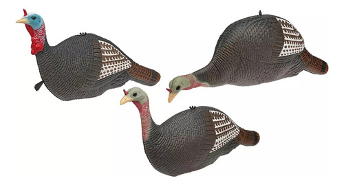 Kit De 3 Decoys O Señuelos Para Caza De Pavo Guajolote Cocon