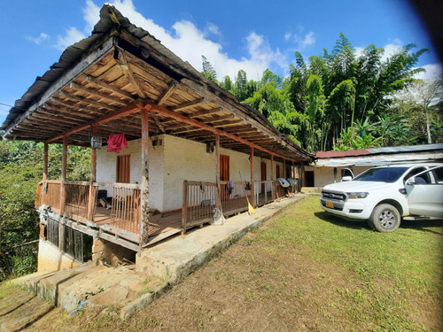 Se Vende Finca En El Cairo - Valle Del Cauca