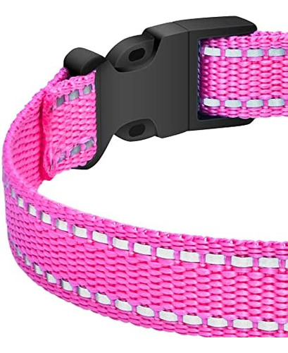 Petjoy Shock Collar Correa De Repuesto Para Collar, Collar D
