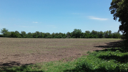 Imagen 5 de 11 de Chacra 17 En Paraje Lomas De Salomón En Dolores