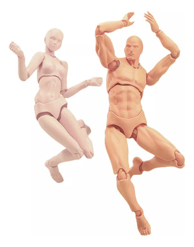 1 Pieza De Pintura De Modelo De Cuerpo Humano Masculino Y Fe