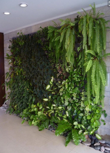 Imagen 8 de 10 de Jardines Verticales / Cuadros Vivos (seña)