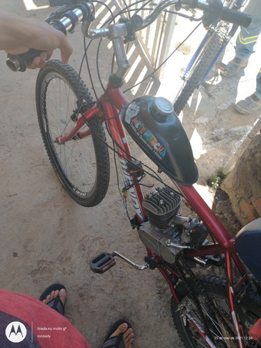 Motor Mosquito