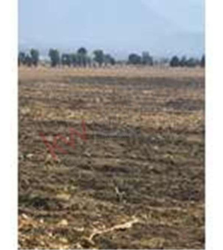 Terreno En Venta (uso De Suelo Mixto) En Amecameca - Estado De México $6,000,000.00