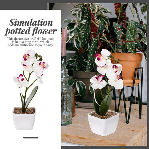 Pretyzoom Flor Artificial Phalaenopsis Flor De Imitación Par